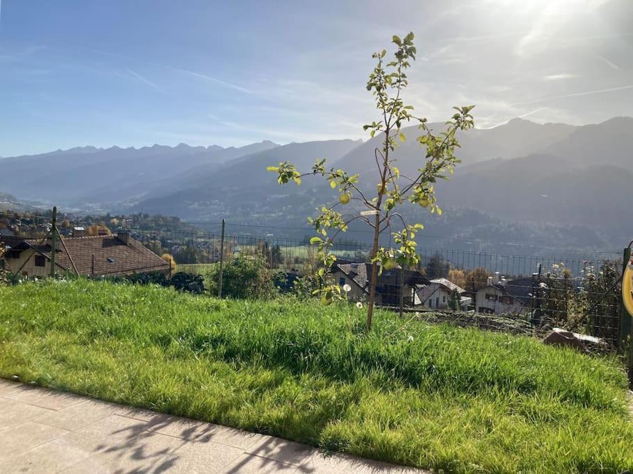Casa Diaf Appartamento Incantevole Carano Ville Di Fiemme 외부 사진